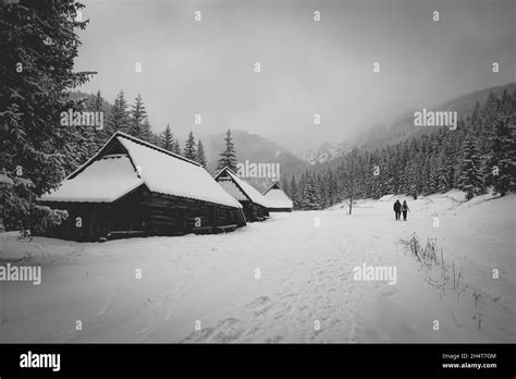 Beautiful grayscale view of winter and snow-capped mountains and houses