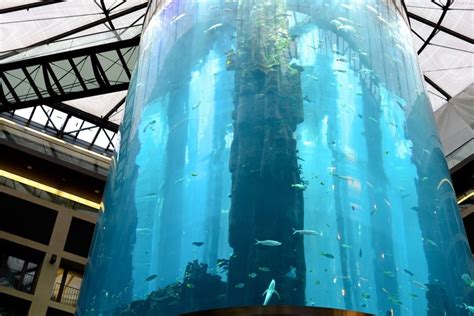 Aquadom Berlin: Insidertipps, Preise, Öffnungszeiten – Reiseblog
