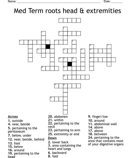 Med Term roots head & extremities Crossword - WordMint