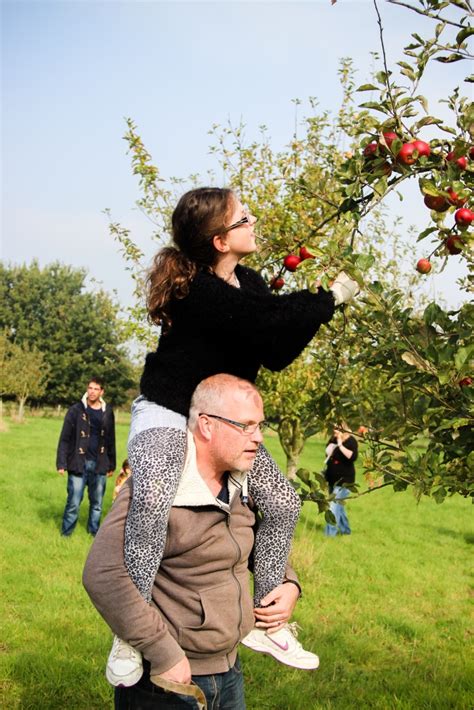 Volunteering Kent Orchards For Everyone