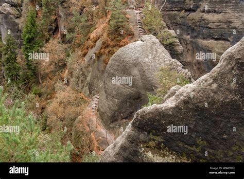 Autumn In The Elbe Sandstone Mountains Bad Schandau Region