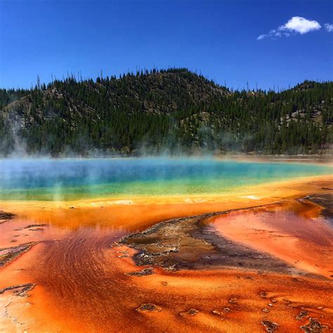 The Rainbow Bacteria Of Grand Prismatic Spring Yellowstone Usa Hd Wallpaper