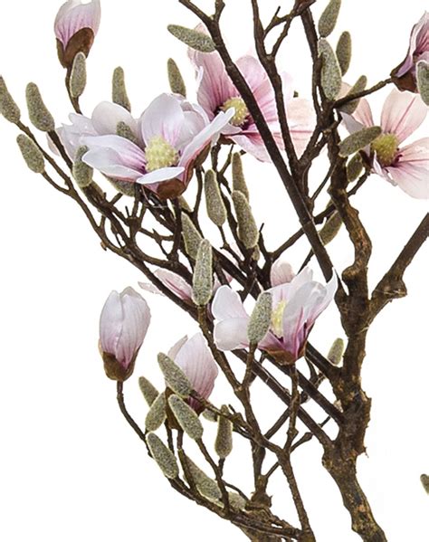 Bring your dreams and imagination to life. Buy our Artificial Flowering Magnolia Tree - Stunning ...