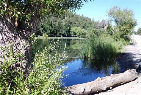 American Land & Leisure - Jackson Flat Group Campground, Wrightwood