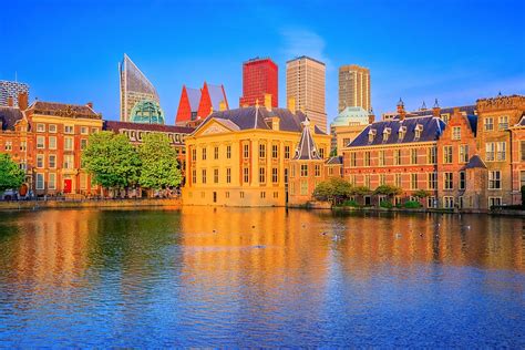9 things to do in the hague next week domain name wire domain name news