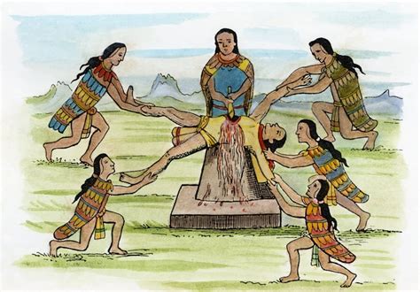 Mexico Aztec Sacrifice Nhuman Sacrifice After An Aztec Codex Rolled