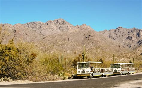 Sabino Canyon Trams At The Visitor Center Tucson Arizona Flickr