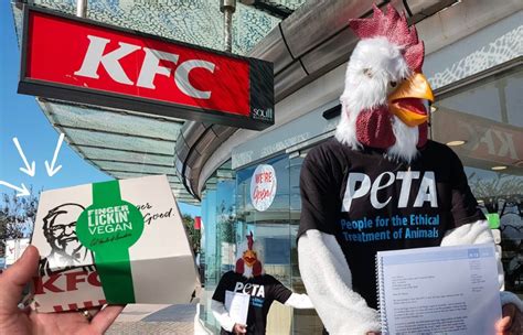Peta ‘chicken Delivers Petition To Kfc News Peta Australia