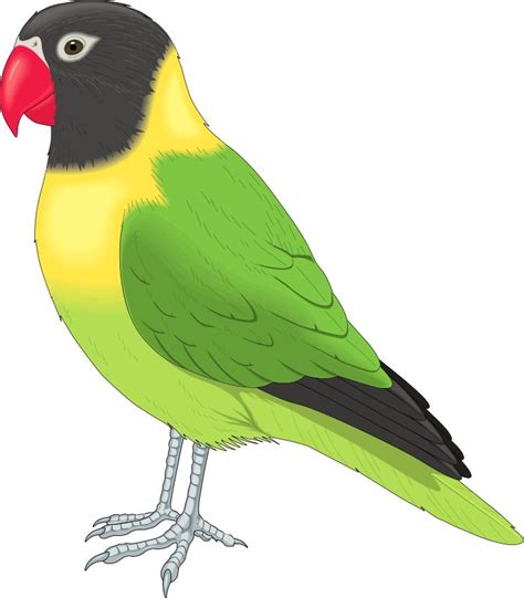 Free Birds Clip Art Download Free Birds Clip Art Png Images Free