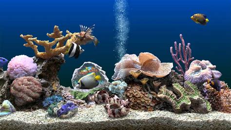 Marine Aquarium 3 Screensaver Awesome Beauty And Visuals
