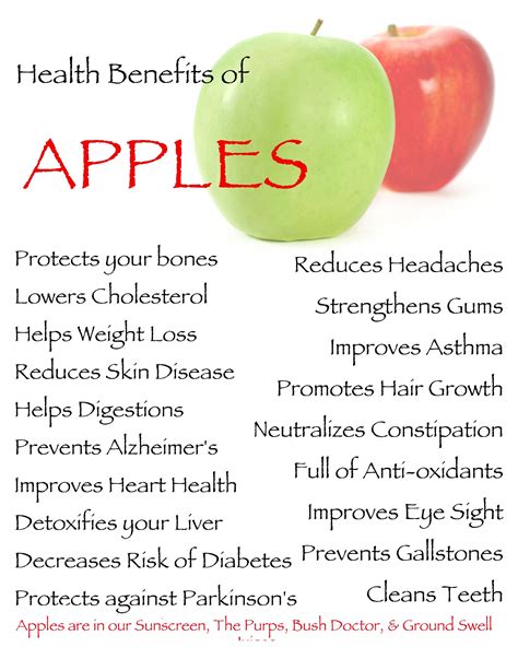 The Health Benefits Of Eating Apples HEALTH