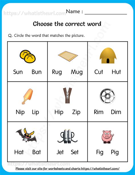 Choose The Correct Word Worksheets For Grade 1 Your Home Teacher
