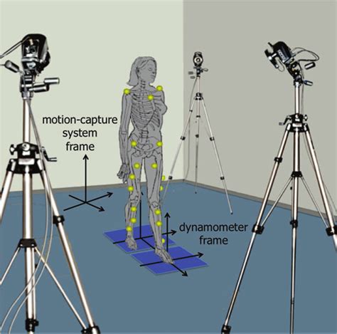 Movement Analysis Laboratory Equipped With A Stereophotogrammetric Download Scientific Diagram