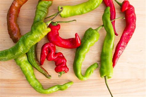 I peperoncini possono essere essiccati in una ciotola o su una gratella collocata in un luogo asciutto e preferibilmente soleggiato. Peperoncini verdi sott'olio | Conserva alternativa e facile