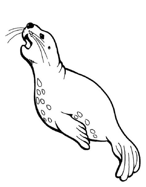 Seal Coloring Pages Free Printable Pdf Sheets