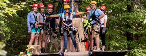 Of the 331 green tree frogs observed, 88% were in canopy gaps. Tree Frog Canopy Tours | Ohio's Amish Country