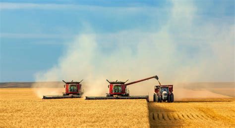 Kazakhstan Has Almost Completed Grain Harvesting Campaign And Has
