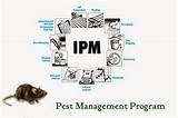 Photos of What Do Pest Control Companies Use
