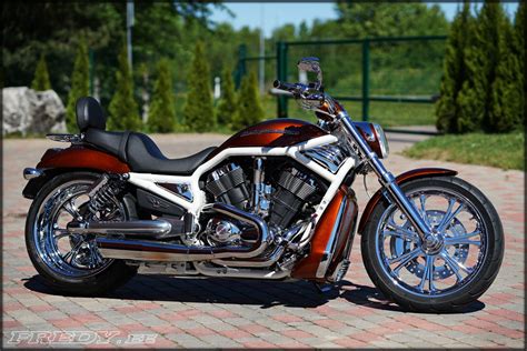 03 Harley Davidson Vrsca V Rod Fredyee