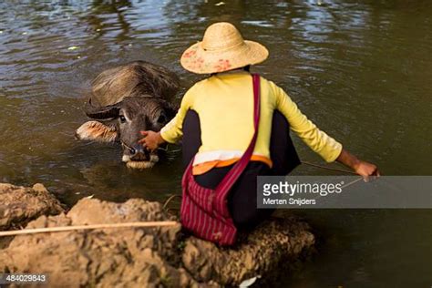 Burmese Clothing Photos And Premium High Res Pictures Getty Images