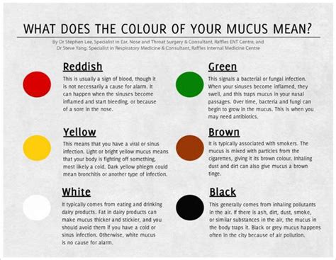 What Does The Color Of Phlegm Mean 17 Home Remedies For Phlegm Mucus