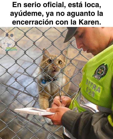 Memes cuarentena coronavirus dia 4. Karen y el gato La Cuarentena - Memes en Español, la mejor ...