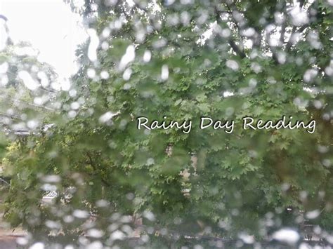 11 Best Images About Rainy Day Reading On Pinterest Good Books Cats