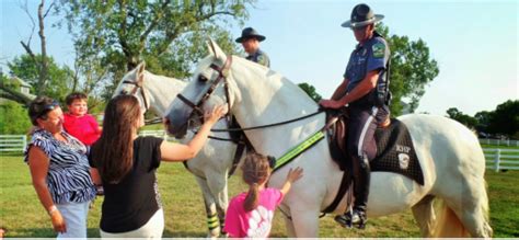 What You Need To Know About Mounted Police Lubrisynha