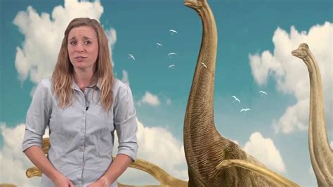 2.we don't know how long a dinosaur lived,but scientists think that some dinosaurs lived for over 100 years. Dinosaur Myth Busted: Dinosaurs living in water - YouTube
