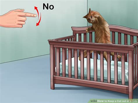 If yes, then this is where you can learn about the quick steps to repel a feline from your vehicle. 3 Ways to Keep a Cat out of a Crib - wikiHow