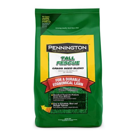 Pennington 50 Lb Tall Fescue Seed At