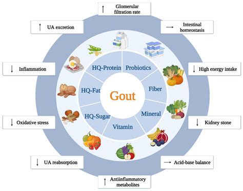 Nutrients Free Full Text Gout And Diet A Comprehensive Review Of