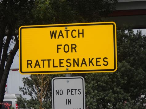 170 Best Road Signs Images On Pinterest Funny Signs