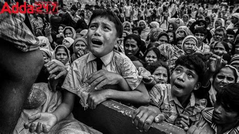 All About Rohingya Crisis