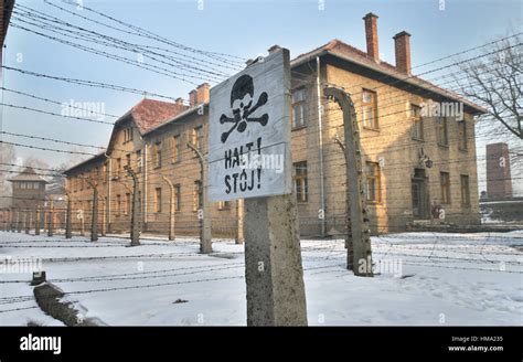 72º aniversario de la liberación de auschwitz birkenau kl y el día del recuerdo del holocausto