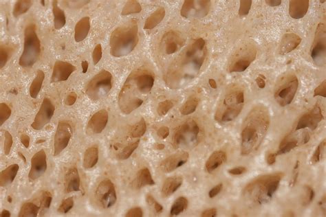 Why Are Some People Afraid Of Holes Trypophobia Holes Trypophobia