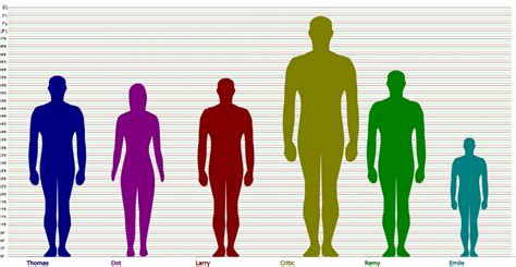 The Science Of Height Decoding The Human Height Comparison Chart