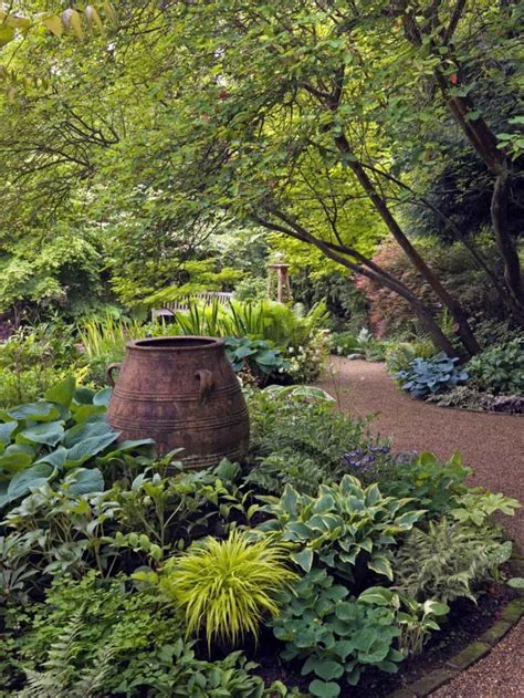 Beautiful Tropical Shade Gardening In 2020 Shade Garden Design Shade