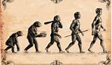 Photos of Charles Darwin Theory Evolution Ks2