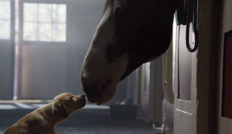 2014 ad meter results all 57 super bowl xlviii commercials from best to worst usa today ad meter