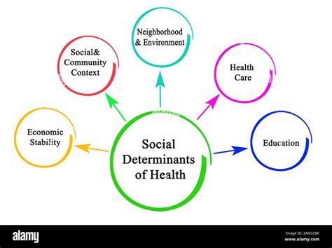 Chart Showing The Social Determinants Of Health Source Download