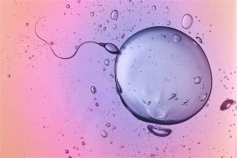5 Fascinating Sperm Facts You Need To Share With Your Partner
