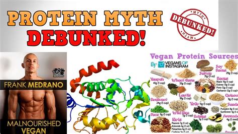 The Protein Myth Debunked In 60 Seconds Youtube