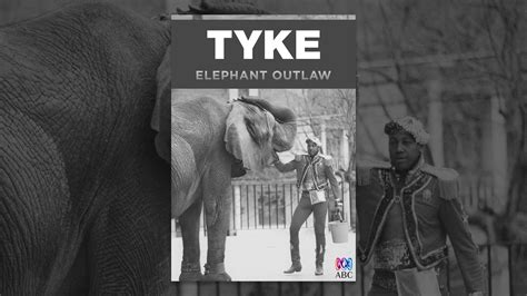 Tyke Elephant Outlaw Youtube