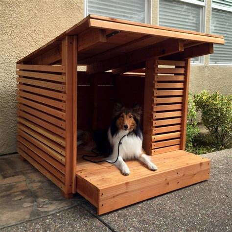 Extra Large Dog House Dog House With Built In Heater Betyonseiackr