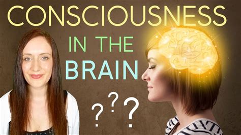 Where Is Our Consciousness Located In The Brain Or Out In The Unified