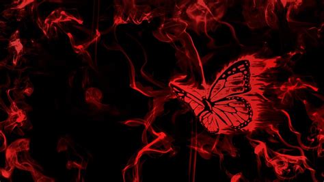 Dark Butterfly Wallpapers Top Những Hình Ảnh Đẹp