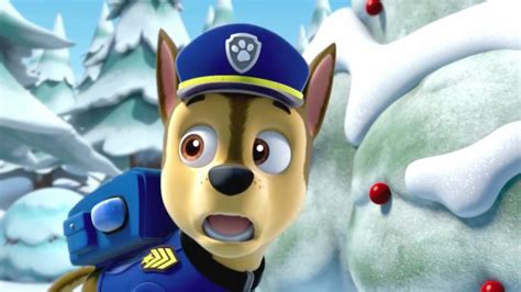 Puppy Dog High Flying Skye Paw Patrol Pups To The Rescue Pups And The