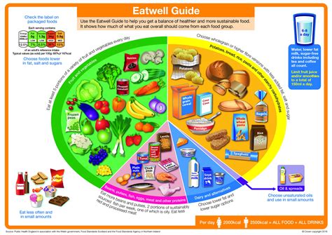 The NEW revamped Eatwell Guide has been served up - time to play spot ...