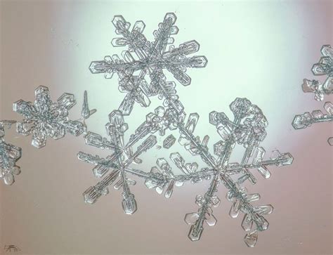 How Snowflakes Get Their Shapes Earth Earthsky